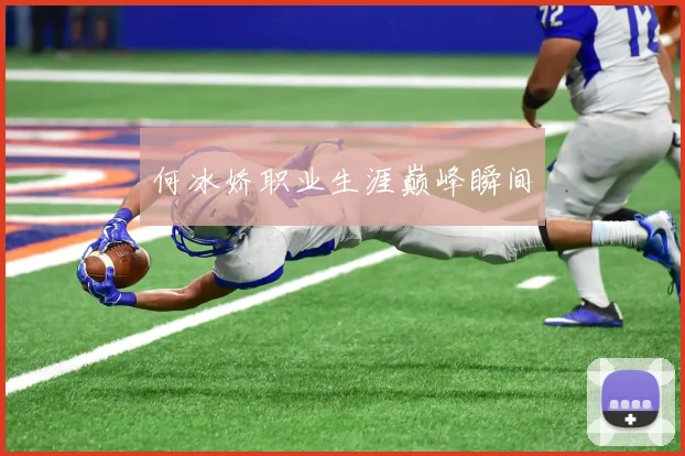 何冰娇职业生涯巅峰瞬间