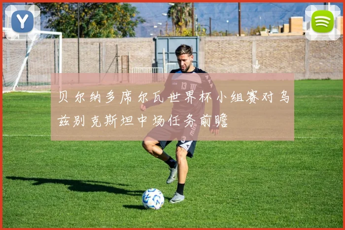贝尔纳多席尔瓦世界杯小组赛对乌兹别克斯坦中场任务前瞻