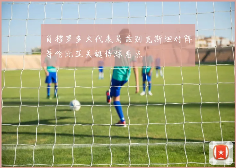 肖穆罗多夫代表乌兹别克斯坦对阵哥伦比亚关键传球看点