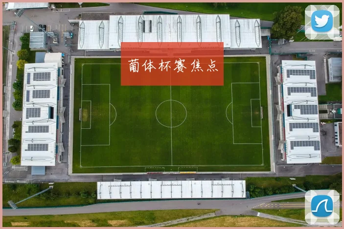葡体杯赛焦点