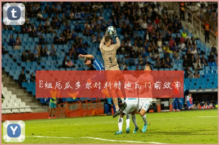 E组厄瓜多尔对科特迪瓦门前效率