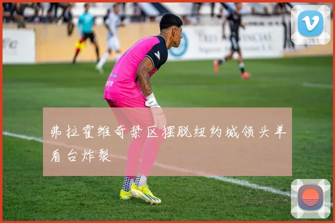 弗拉霍维奇禁区摆脱纽约城领头羊看台炸裂