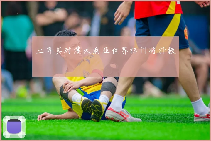 土耳其对澳大利亚世界杯门将扑救