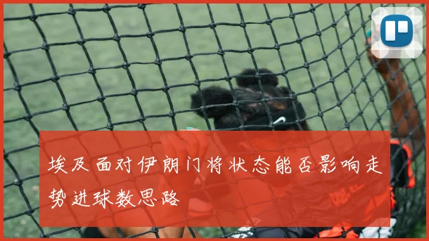 埃及面对伊朗门将状态能否影响走势进球数思路